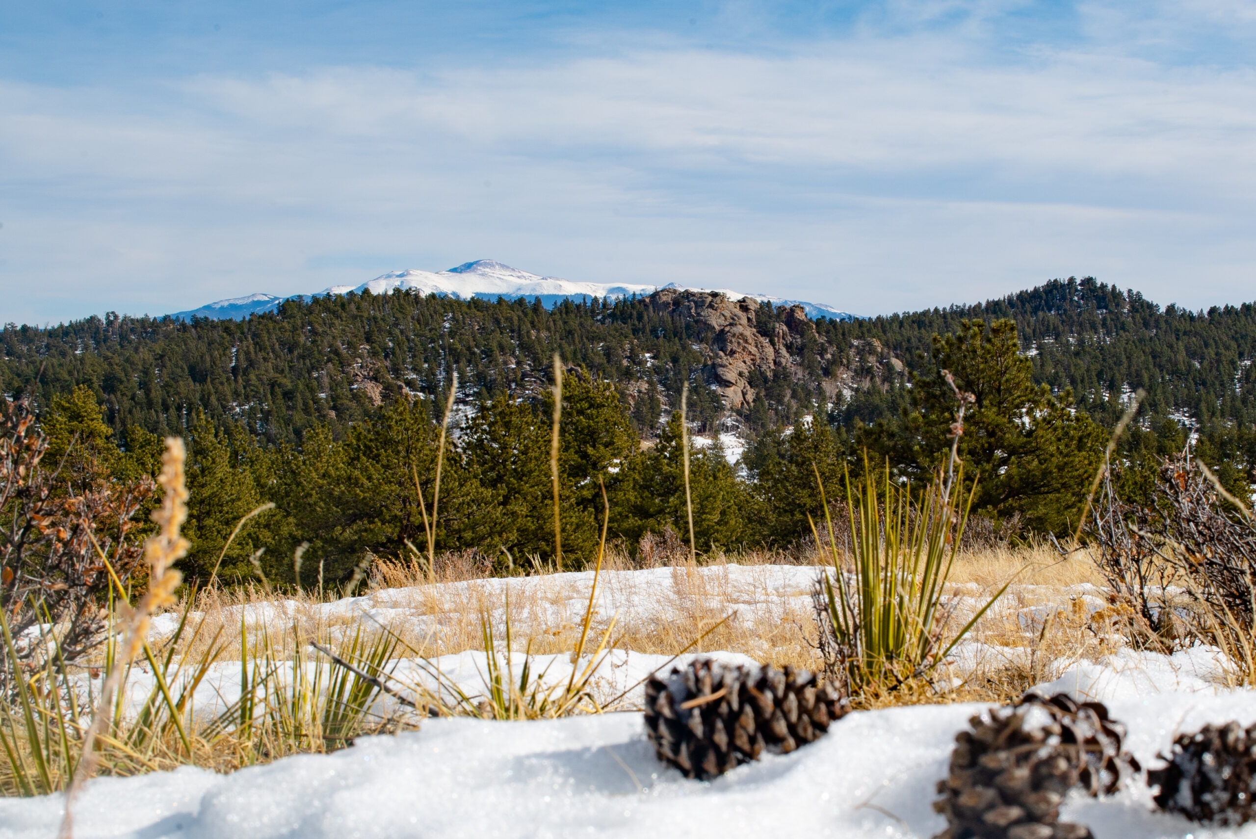 The Bohannon Ranch Confluence Land