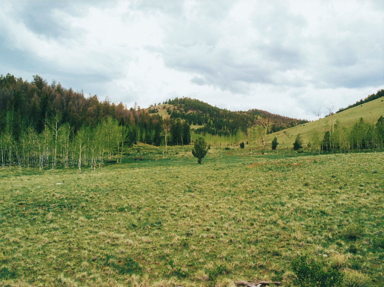 The Forest Springs Inholding Ranch Confluence Land