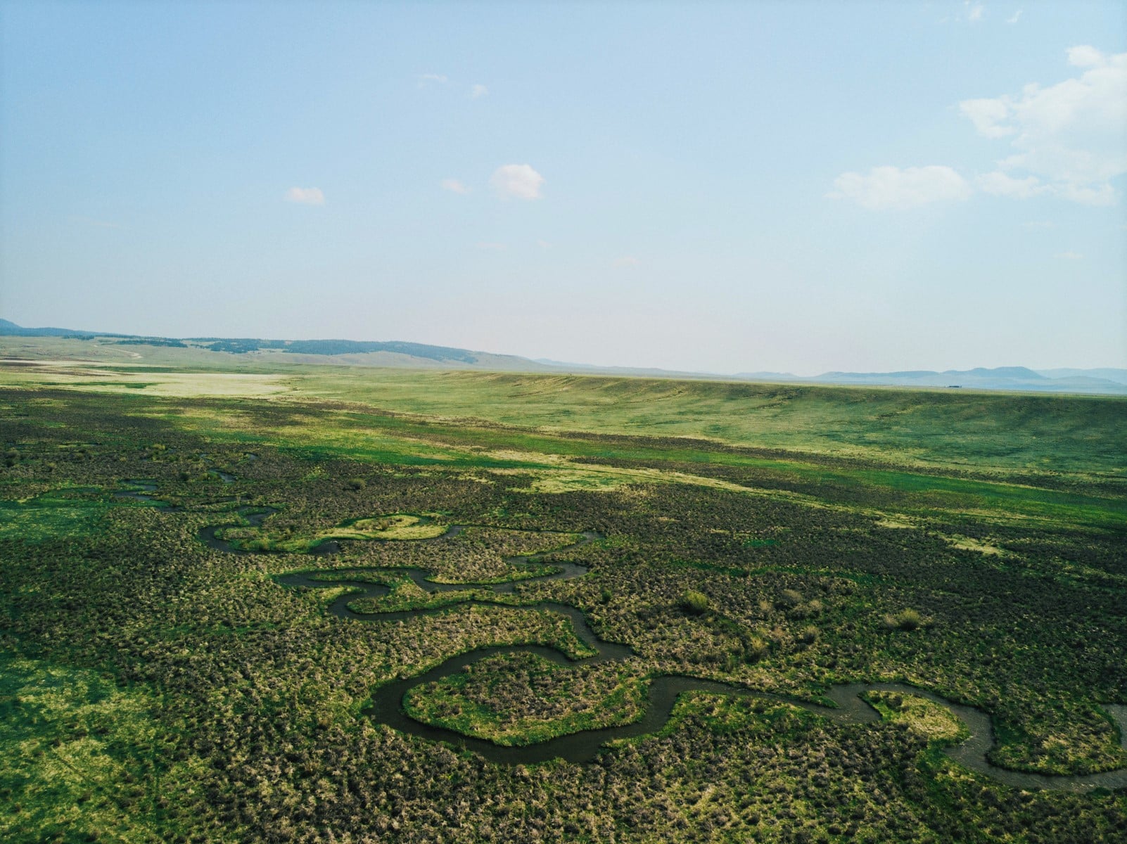 The Collard Ranch - Confluence Land