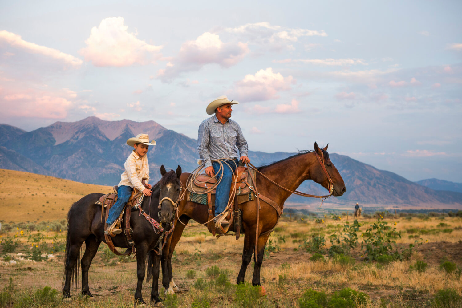 ranching tradition, Colorado gray wolves, ranchers on horseback