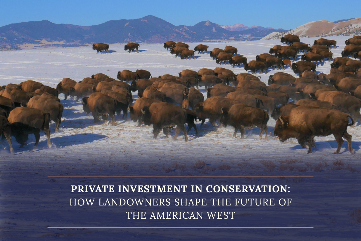 Investment in Conservation