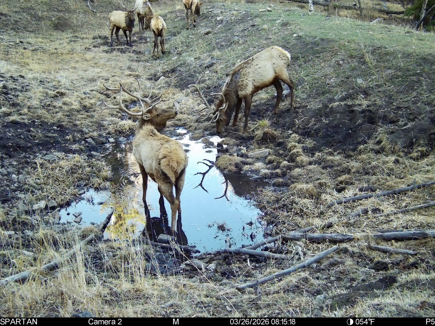 low snowpack and the western ranch