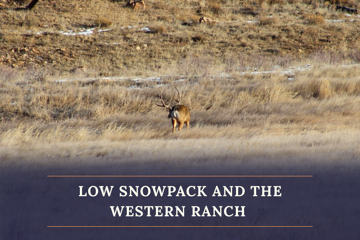 April 2026 Field Note Lead Image